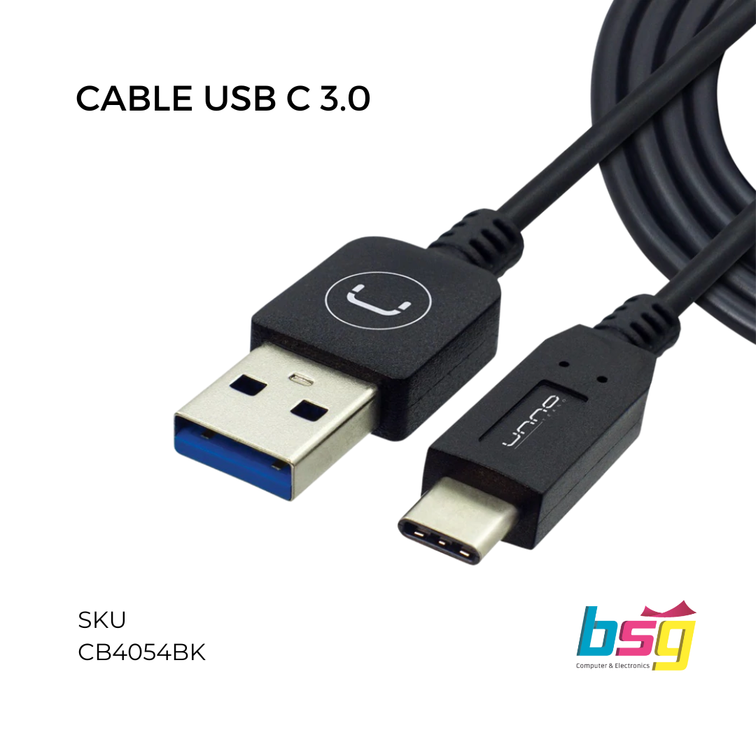 TIPO C USB 2.0 CABLE DE ACERO, 3 FT CB4063GY